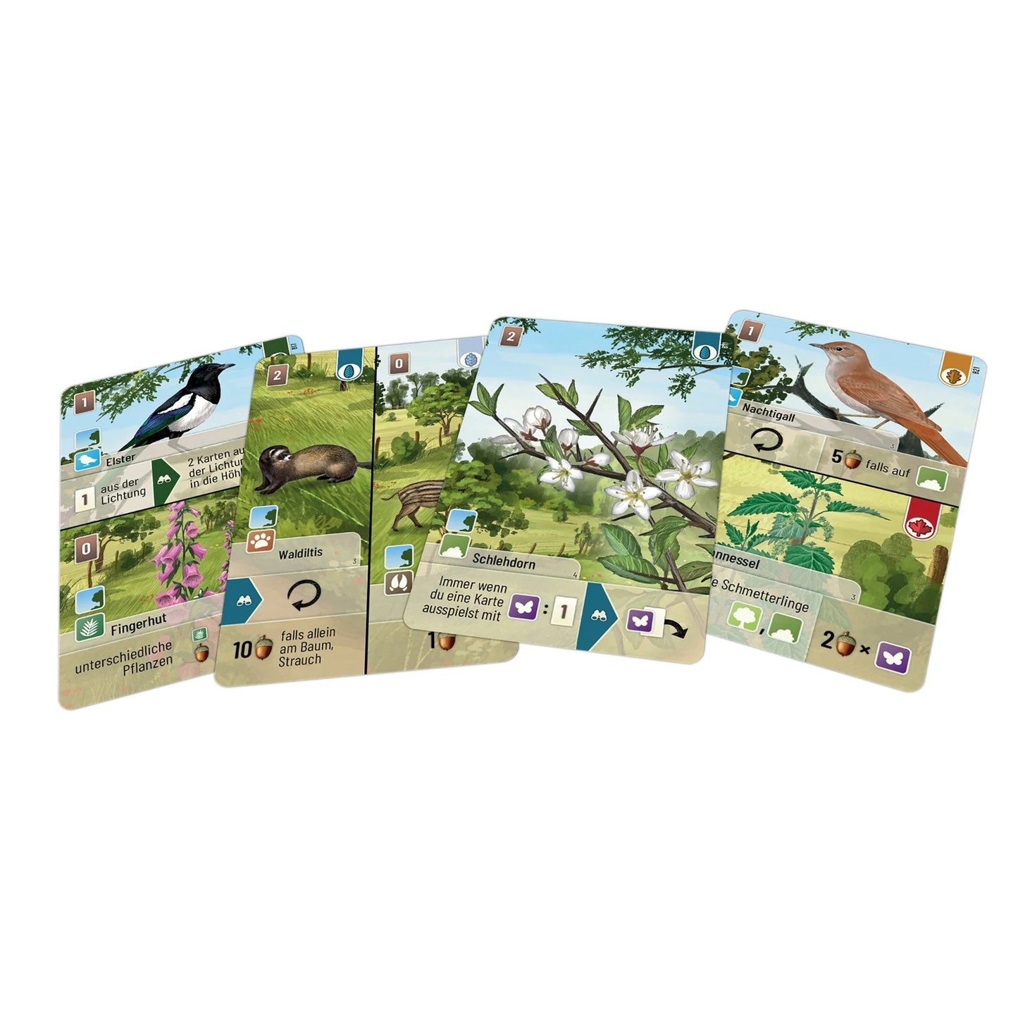 Kartenspiel Mischwald – Waldrand Erweiterung